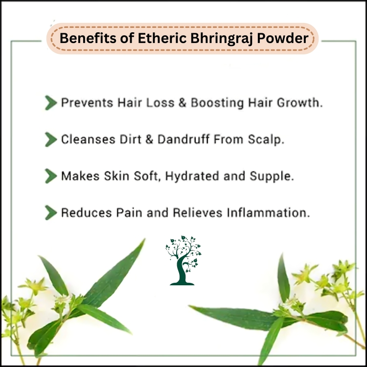 Etheric Bhringraj Powder for Hair Growth & Treatment (150 Grams)