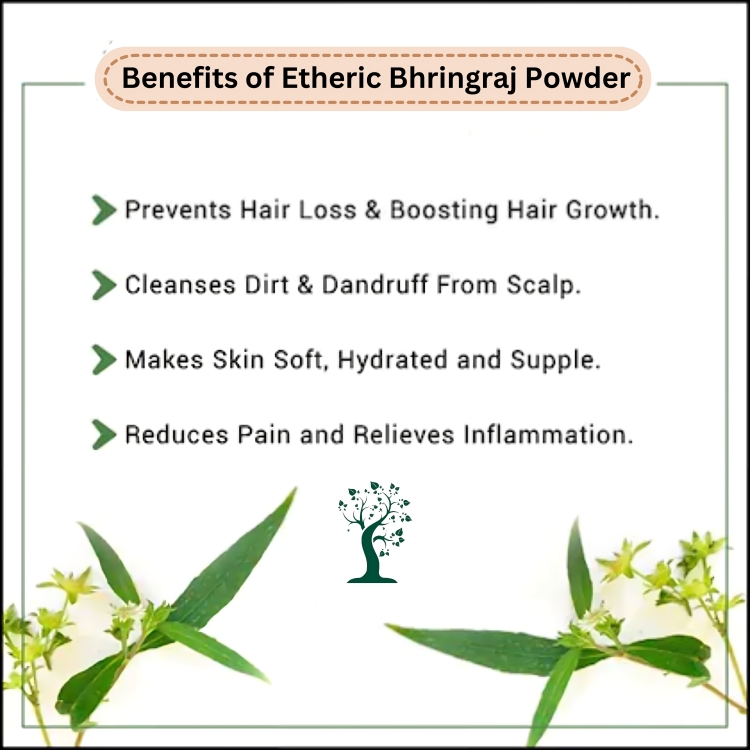 Etheric Bhringraj Powder – Herbal Hair Growth & Hair Care Treatment