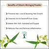 Etheric Bhringraj Powder for Hair Growth & Treatment (150 Grams)