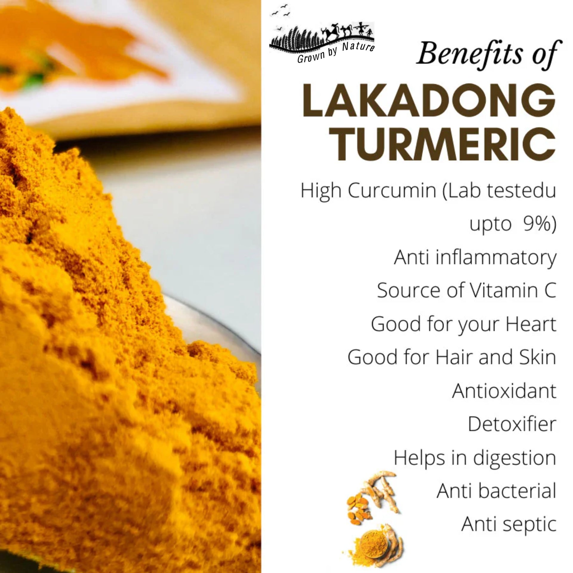 Etheric Foods Organic Lakadong Turmeric Powder (High Curcumin 9-12% II Meghalaya Turmeric II Turmeric For Medicine) (150 gm)